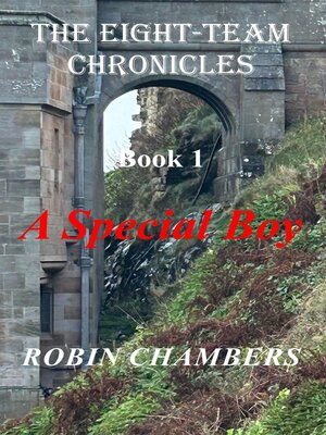 cover image of A Special Boy